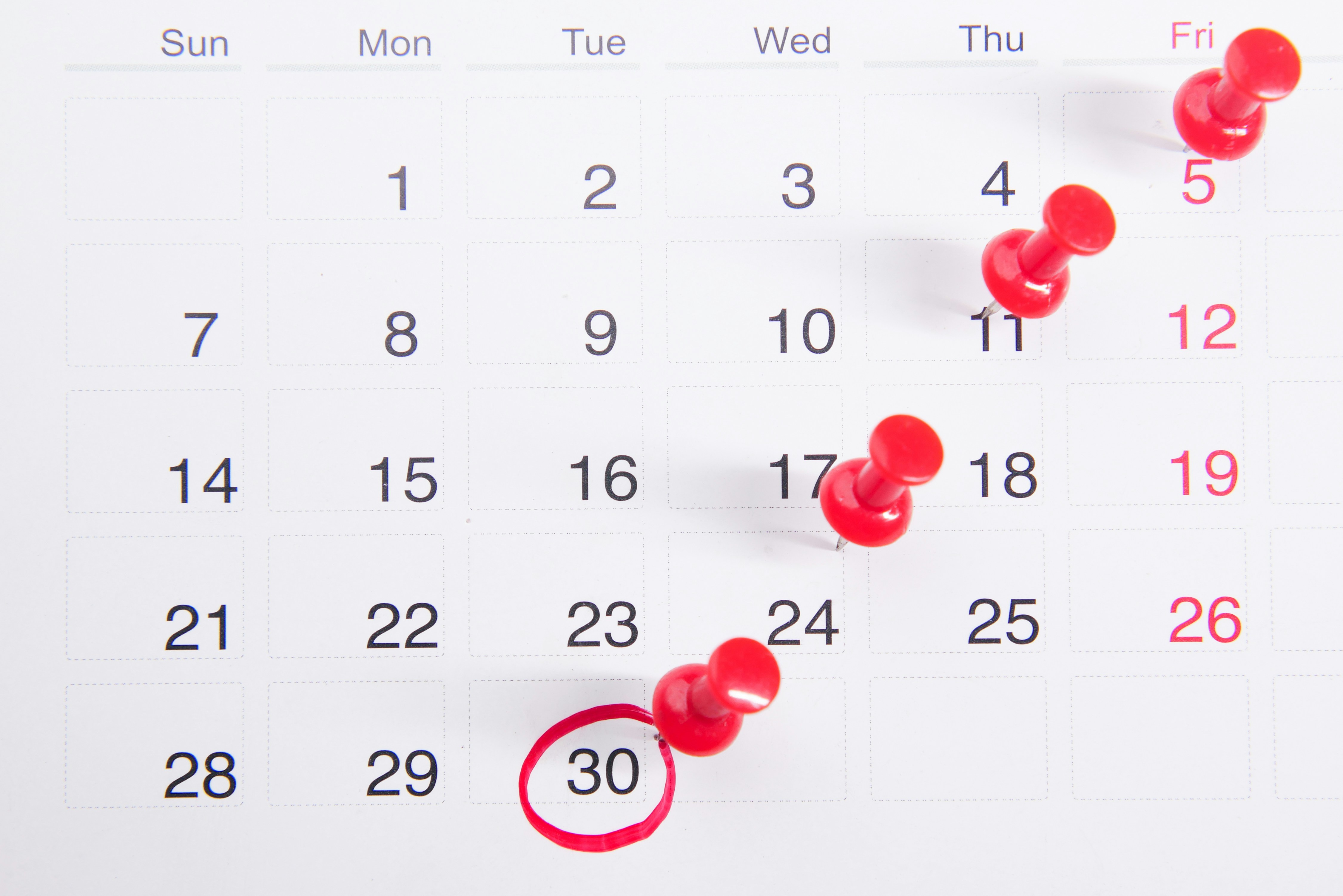 ตารางแพทย์ออกตรวจ